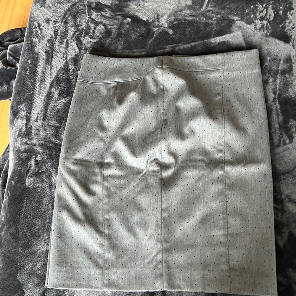 Banana Republic S8 skirt